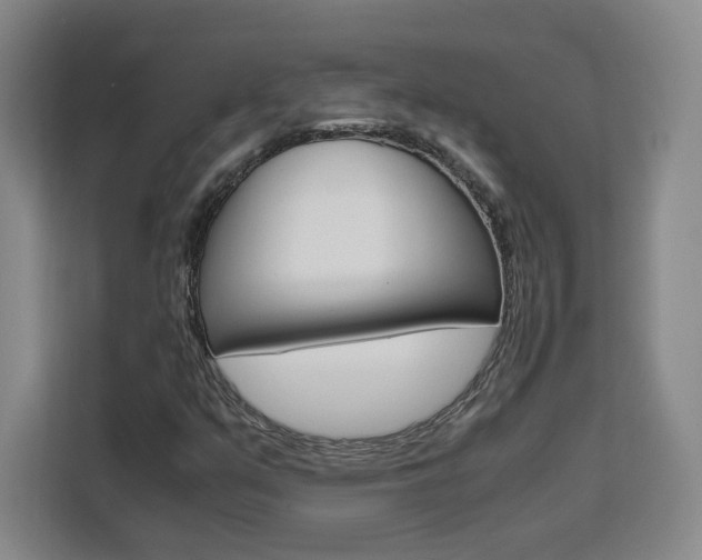 X0000111531351200907141248