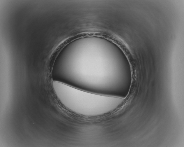 X0000111531352200907141248