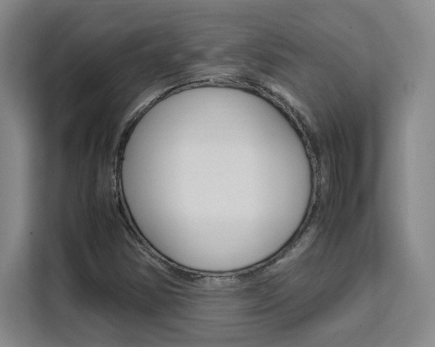 X0000111531354200907141248