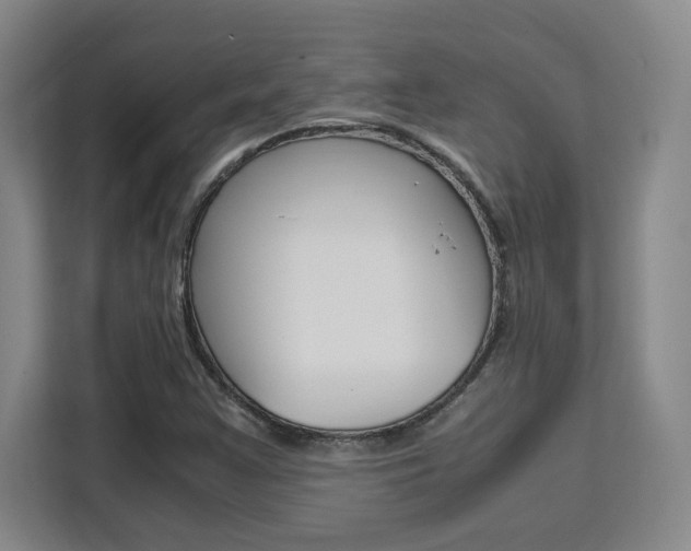 X0000111531355200907141248