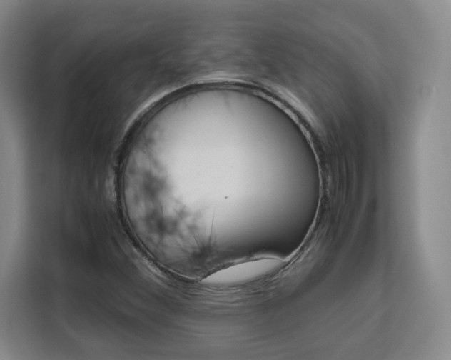 X0000111531356200907141248