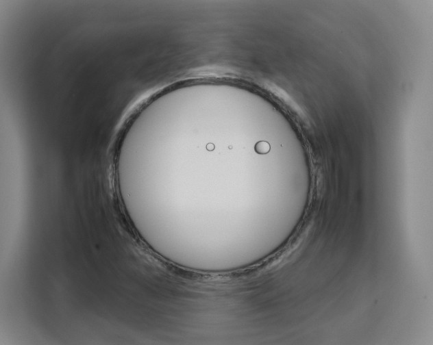 X0000111531358200907141248