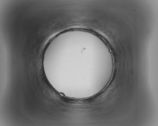 X0000111531359200907141248