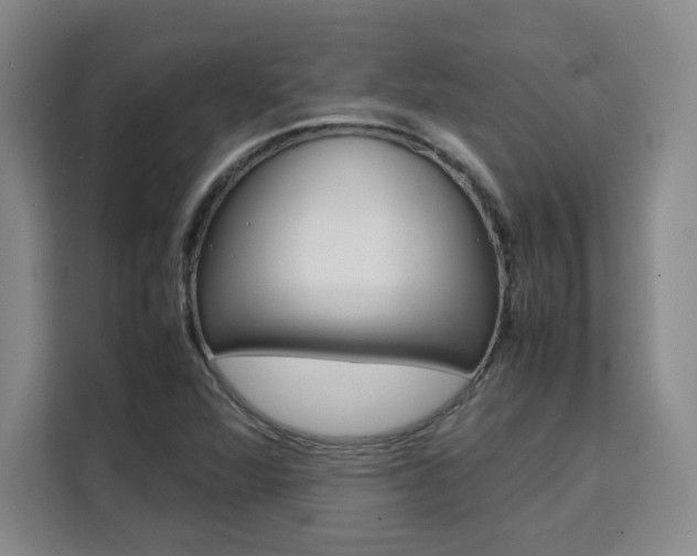 X0000111531360200907141248