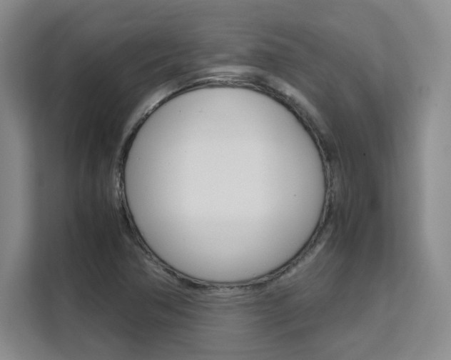 X0000111531362200907141248