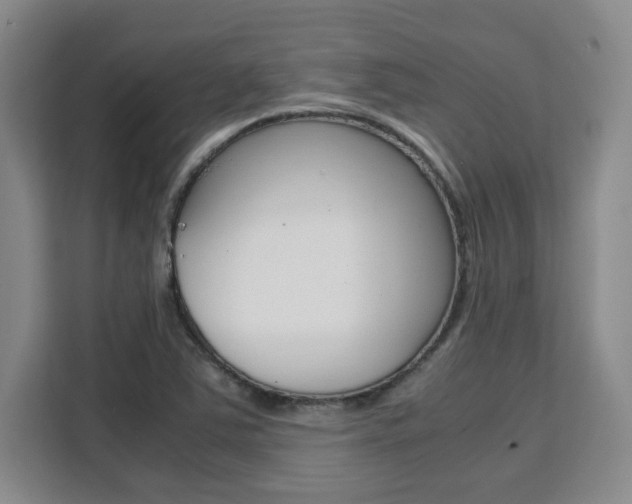 X0000111531363200907141248
