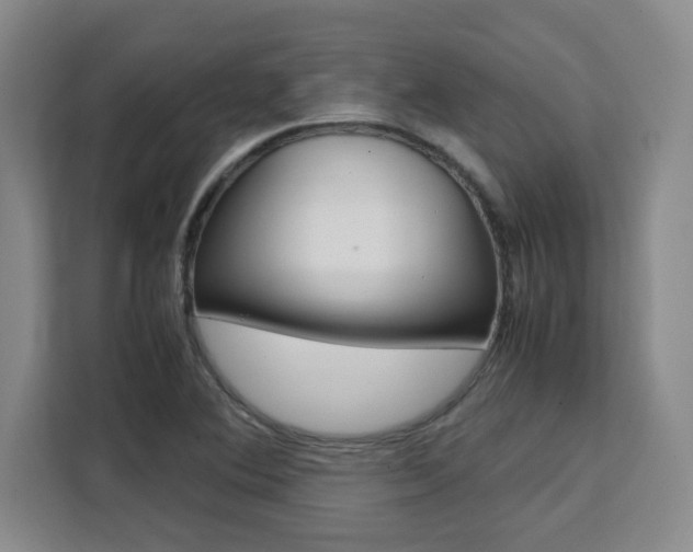 X0000111531364200907141248