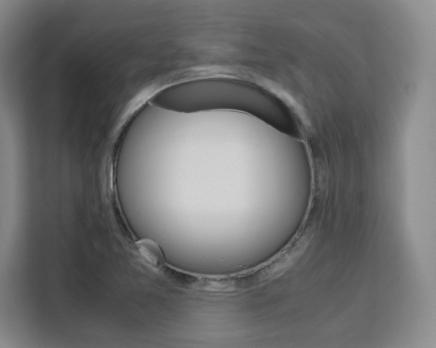X0000111531365200907141248