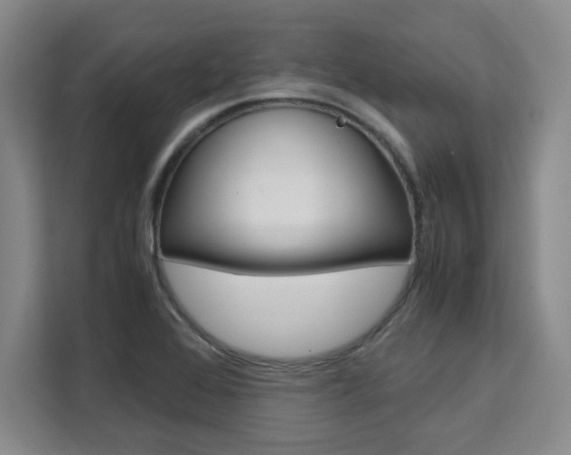 X0000111531368200907141248