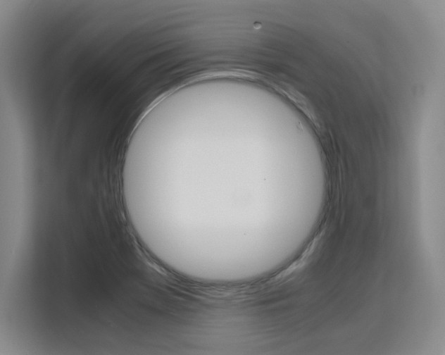 X0000111531369200907141248