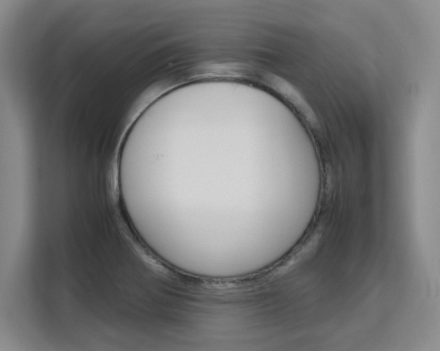 X0000111531370200907141248