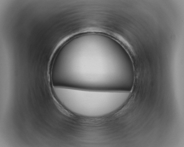 X0000111531372200907141248