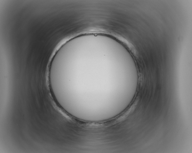 X0000111531374200907141248