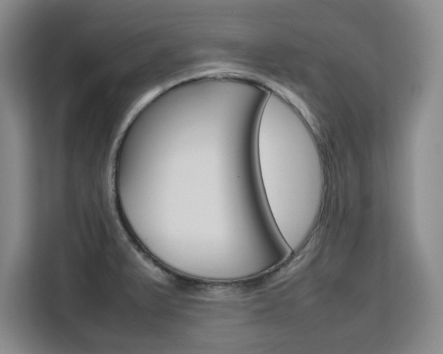 X0000111531375200907141248