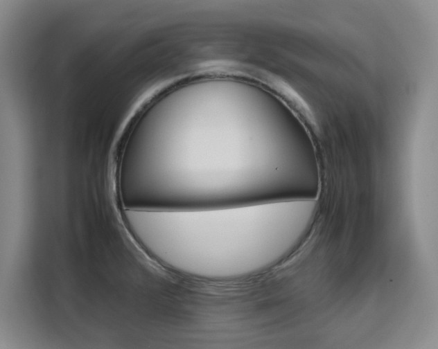 X0000111531376200907141248