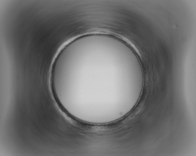 X0000111531379200907141248