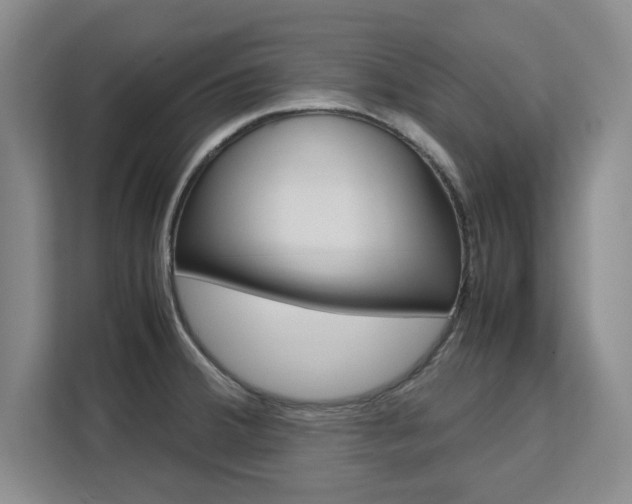 X0000111531380200907141248