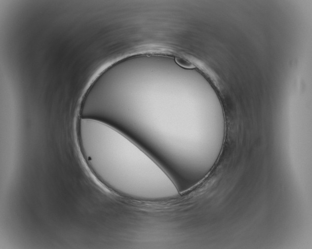 X0000111531383200907141248