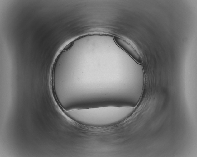X0000111531387200907141248