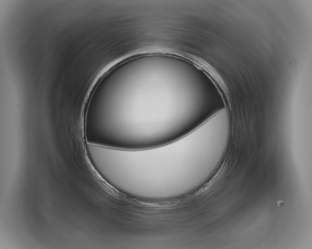 X0000111531388200907141247