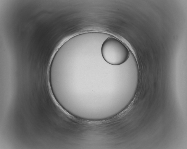 X0000111531389200907141247