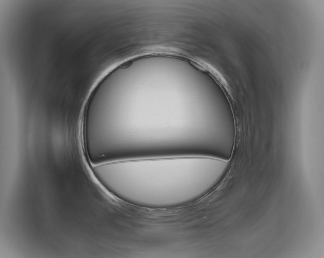 X0000111531391200907141247