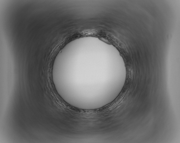 X0000111531393200907141247