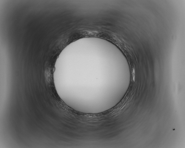 X0000111531395200907141247