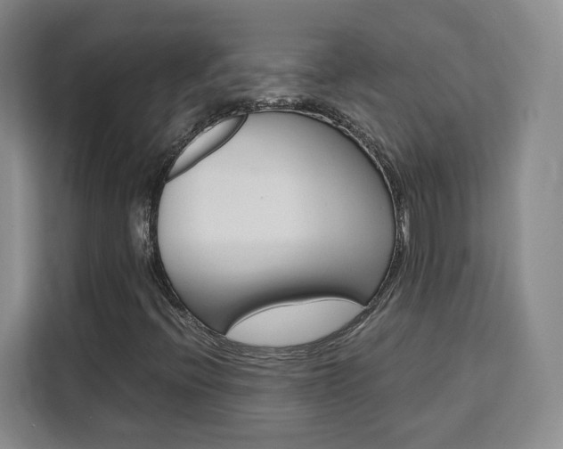 X0000111531396200907141247