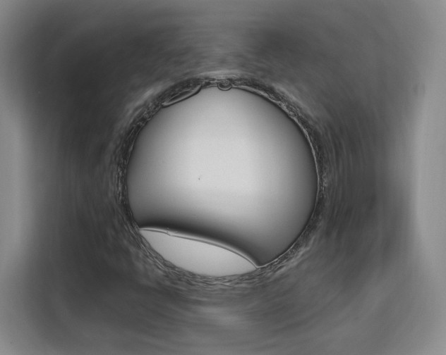 X0000111531398200907141247