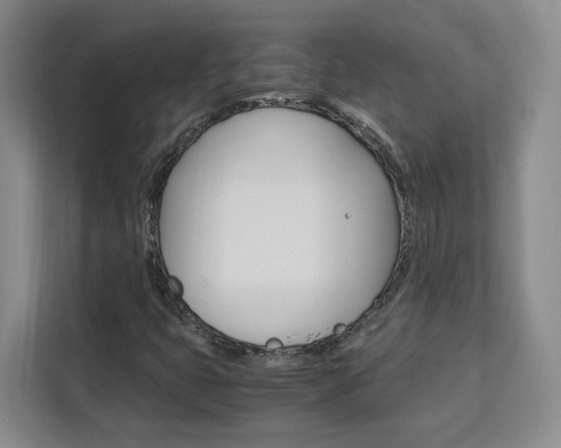 X0000111531399200907141247
