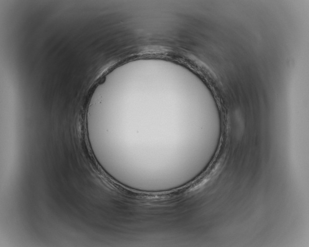 X0000111531401200907141247
