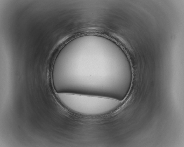 X0000111531402200907141247