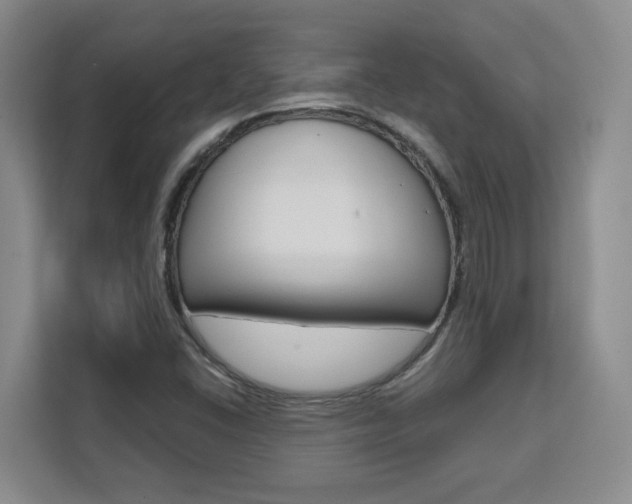 X0000111531406200907141247