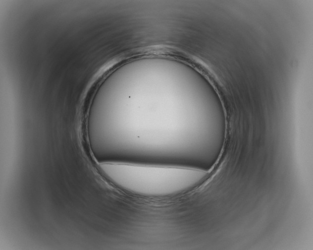 X0000111531410200907141247