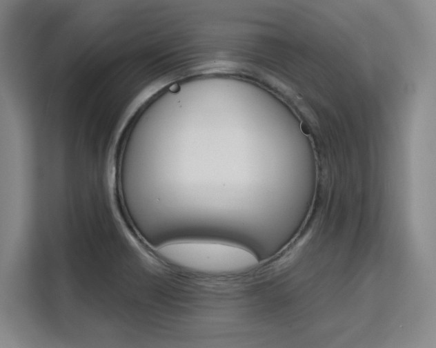 X0000111531418200907141247
