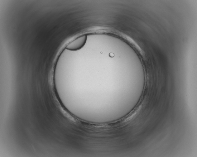 X0000111531421200907141247