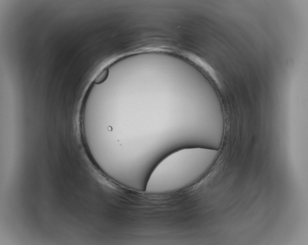 X0000111531423200907141247