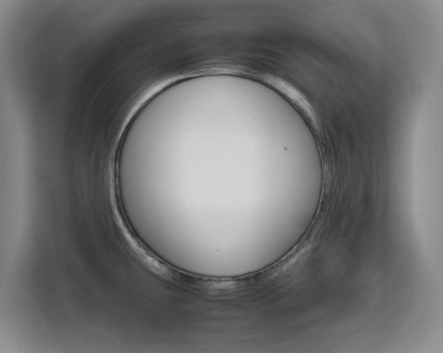 X0000111531431200907141247