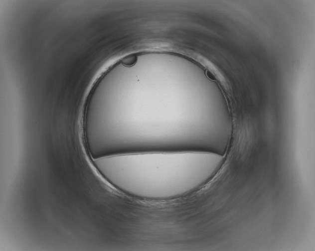 X0000111531432200907141247