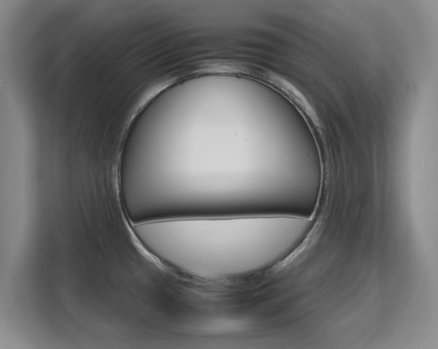 X0000111531433200907141247