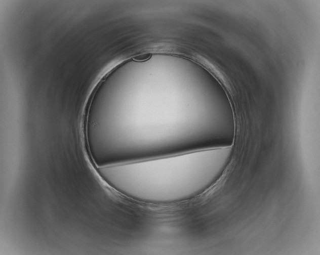 X0000111531434200907141247