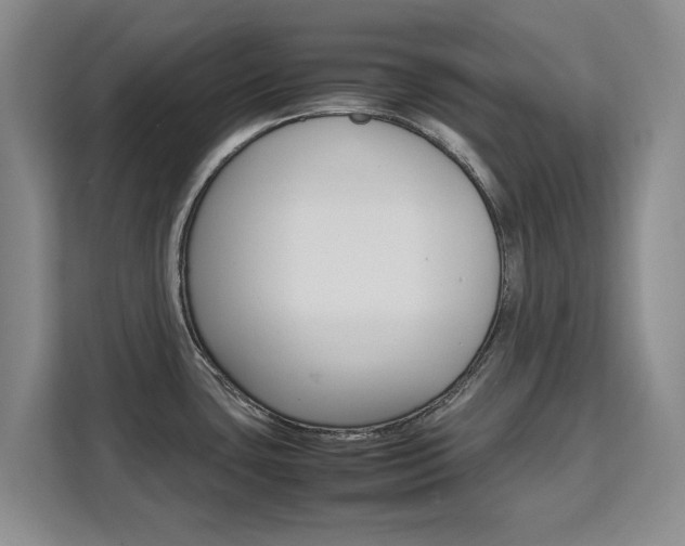 X0000111531435200907141247