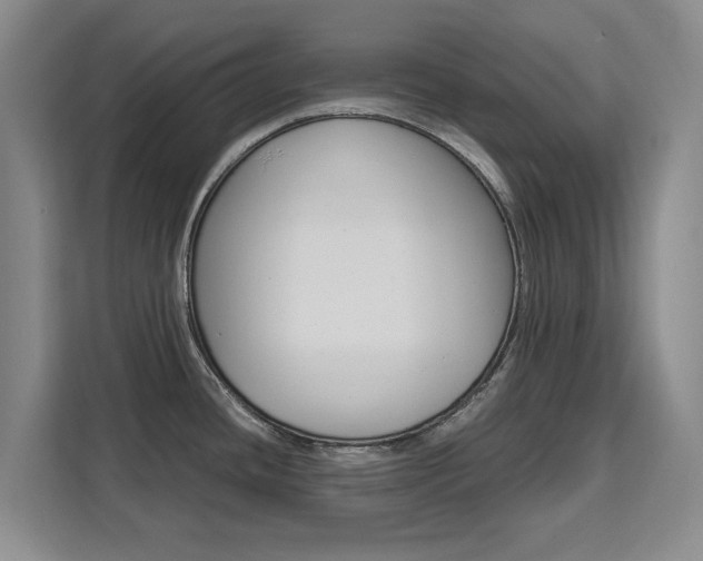 X0000111531436200907141247