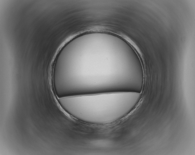 X0000111531437200907141247