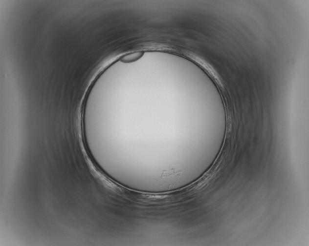 X0000111531439200907141247