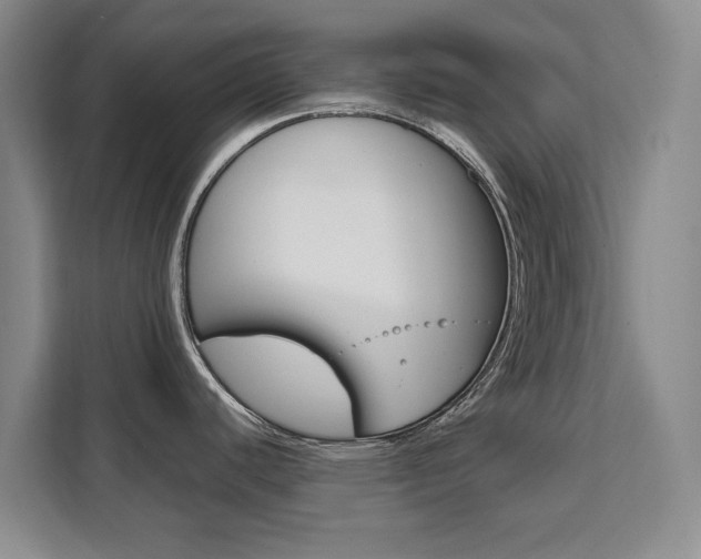 X0000111531440200907141247