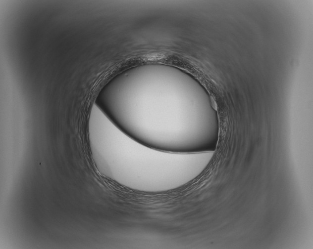 X0000111531441200907141247