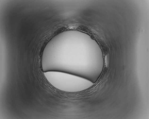 X0000111531443200907141247