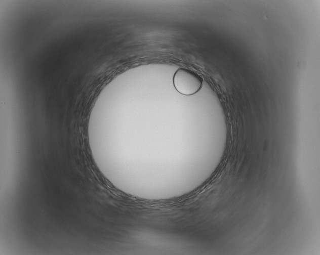 X0000111531445200907141247